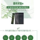 라라코리아 | 라라코리아 천연클로로필 a 후기