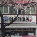 암소한마리 이미지