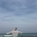 바다이용원 이미지