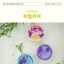 오크베이커리카페