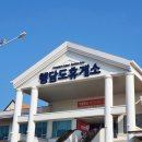 마레미오 이미지