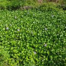 들꽃농장 이미지