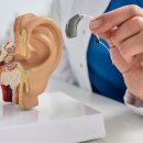 울산독일보청기 공업탑센터 이미지