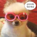 지에스(GS)영천망정행운점 | 마켓컬리 창원 물류센터 S팀 주간 냉장 풀타임 단기근로 알바 후기 2탄(feat.찐경험고급정보♥)
