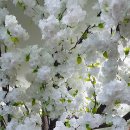 팔공산로 이미지