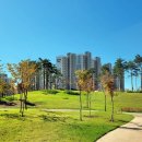 고덕수변공원 이미지