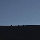 몽골 다녀온 후기🐎🐫🐑 3탄 이미지