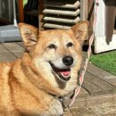 파크다방 | 대부도 나들이 후기, 테마파크+뻘다방