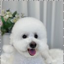 행복한미용