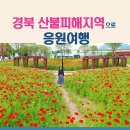 숨쉬는세상주 이미지