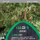 9월21(수요일) 뚝섬 한강공원 조각전시회 및 한강변산책 지하철 7호선 뚝섬유원지역 2번출구 11시ᆢ공지 이미지