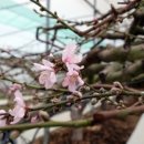 농업회사법인가온(주)
