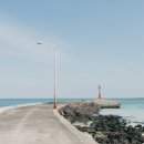 모아에너지 태양광발전소 이미지