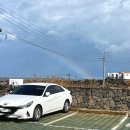 하도리움 제주독채 감성숙소 이미지