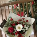 온화스레 이미지