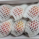 미란농장 이미지