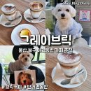 케이앤아크마리타임 | 울산 북구 카페 연암동 그레이브릭 애견동반카페 강아지와 함께