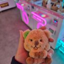 컵밥앤죽 이미지