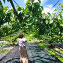 버드네농장 이미지