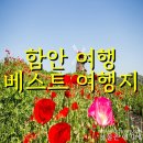목천동 배롱나무 꽃길조성 사업 | 함안 가볼만한곳 베스트10 힐링