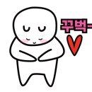 팔롬비니 이미지