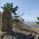 영남가축병원 브런치