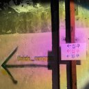 부인농원 이미지