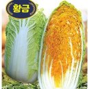 농업회사법인주식회사다농 이미지