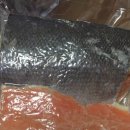 멍멍푸드 이미지