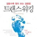 트랜스머리