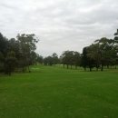 Ryde-Paramatta Golf Club...... 시드니 이미지