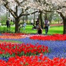 라인호프 이미지