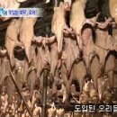 청림친환경 이미지