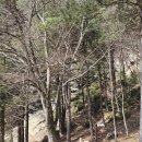 부귀 메타세쿼이아길 | 825장) 부귀 메타세쿼이아길, 구산서원, 수선루 <진안 여행기 1-1편> feat. 구산서원