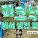 피크닉메이트