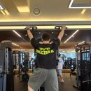 마스터 와이짐 이미지