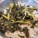 영월역 앞 이미지