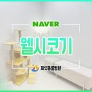 사상동물병원 이미지