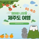 로즈마리민박 | P딸의 제주도여행] 03. 숙소 / 비로소433 : 모녀가 모두 만족한 서귀포 감성 민박 (+숙소 앞 바다산책)