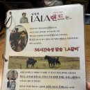 힛트랜드 이미지