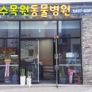 수목원동물병원 이미지