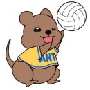 세종) 어나더레벨 배구동호회 모집합니다 이미지