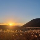 다랑쉬민박 이미지