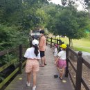 양을산산림욕장 이미지