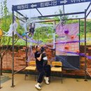 경북애견 | 대구근교 대구경북최대규모 1600평 대형애견카페 대형견가능 경북 칠곡 &#39;컴페니언&#39; 방문 후기