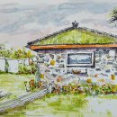 하도조아 이미지