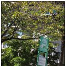 버스정류장 07-119 이미지