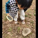 신리농장 이미지