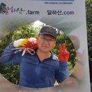 주식회사 기림 네이버블로그