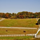 원당목장 이미지